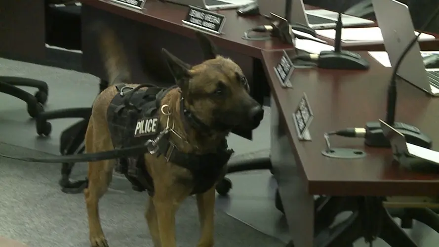 After a few months, Columbus police talk about impact new K9 unit has had