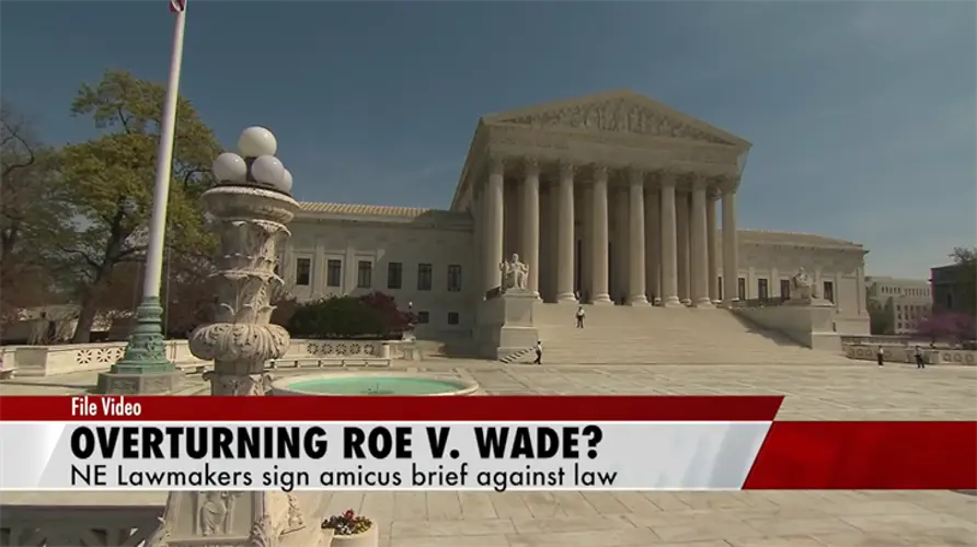 Wyoming delegation urges court to overturn abortion ruling