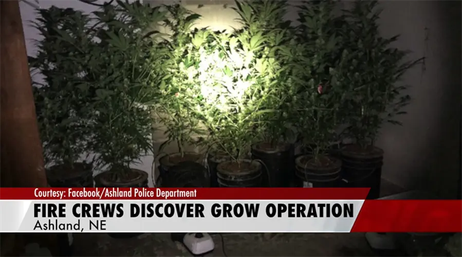 Ashland fire puts out residential blaze, marijuana growing operation discovered