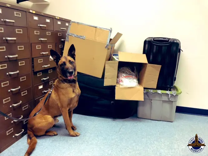 Motorist Assist Yields Illegal Drugs In RV
