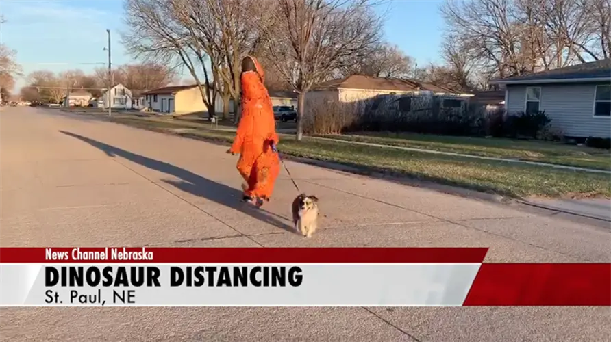 Nebraska woman walks dog while wearing dinosaur costume