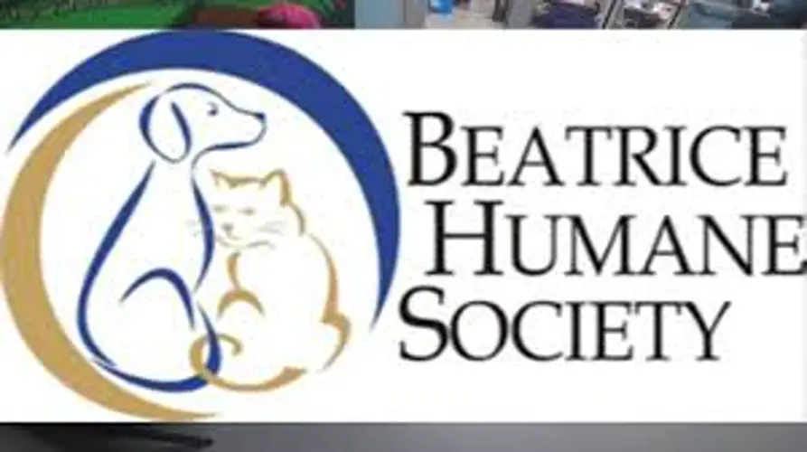 Beatrice Animal Shelter Seeks Foster Homes