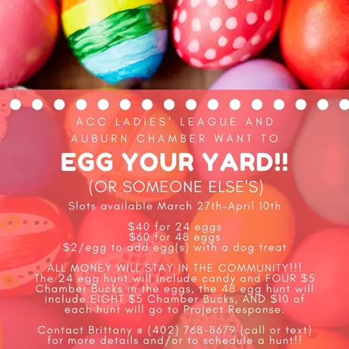Egg Your Yard Auburn