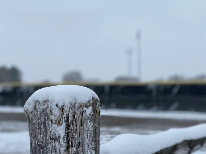 Snow begins covering grass and vehicles early Thursday