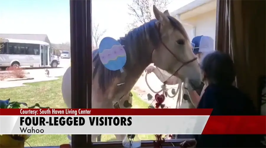 Farm animals make the rounds at Wahoo nursing home
