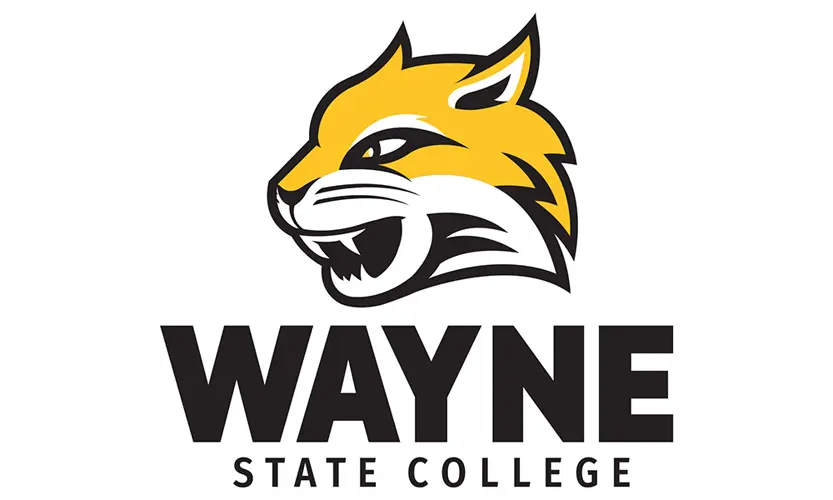 Two Wayne State Professors Say College Refused Remote Teaching
