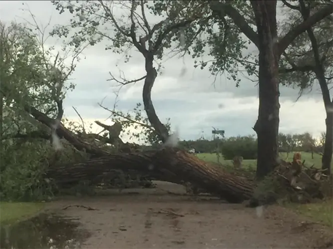 PHOTOS: Storm Damage in Lisco, Nebraska