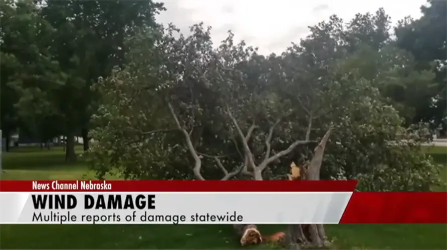 Two tornadoes reported SE Nebraska, heavy wind and rain throughout NE