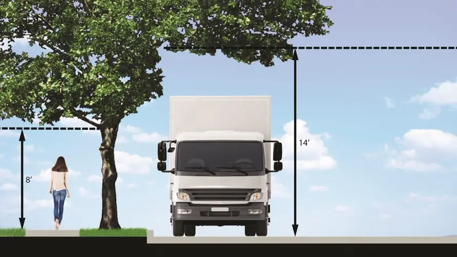 Maintaining overhanging branches per Chadron city ordinance