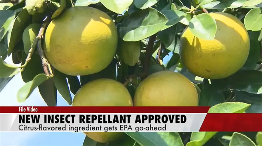 EPA approves citrus flavoring to repel insects