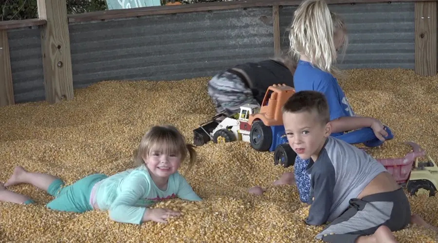Poppy's Pumpkin Patch Brings New Attractions