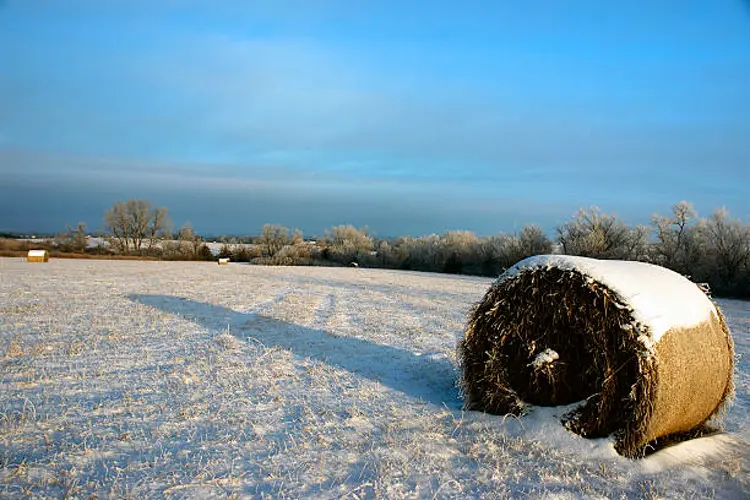 Nebraska sees low temp records broken as Arctic air descends