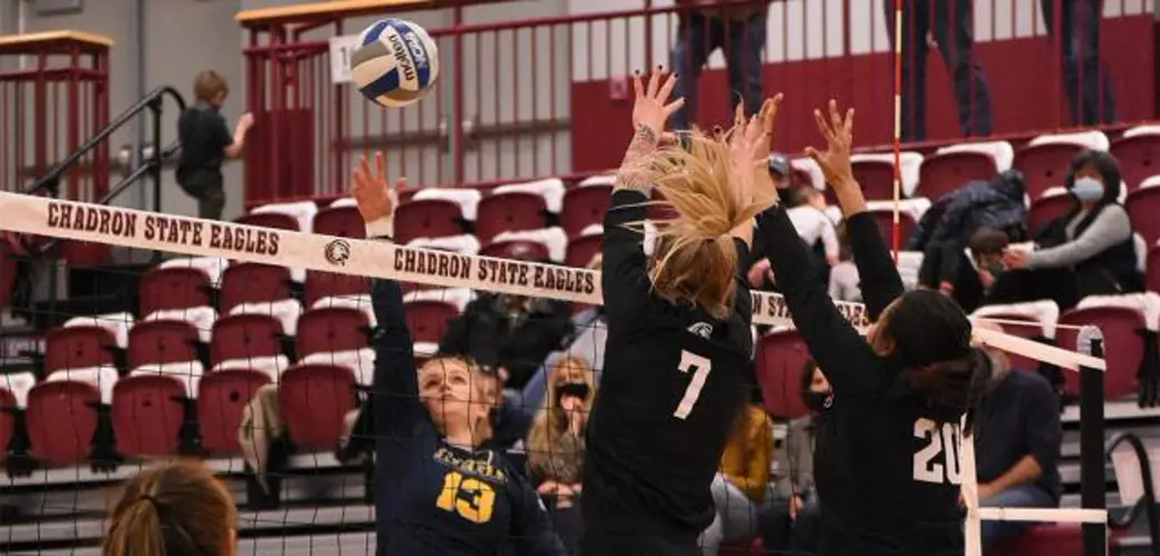Eagle notes: Chadron State Swept By #24 Regis