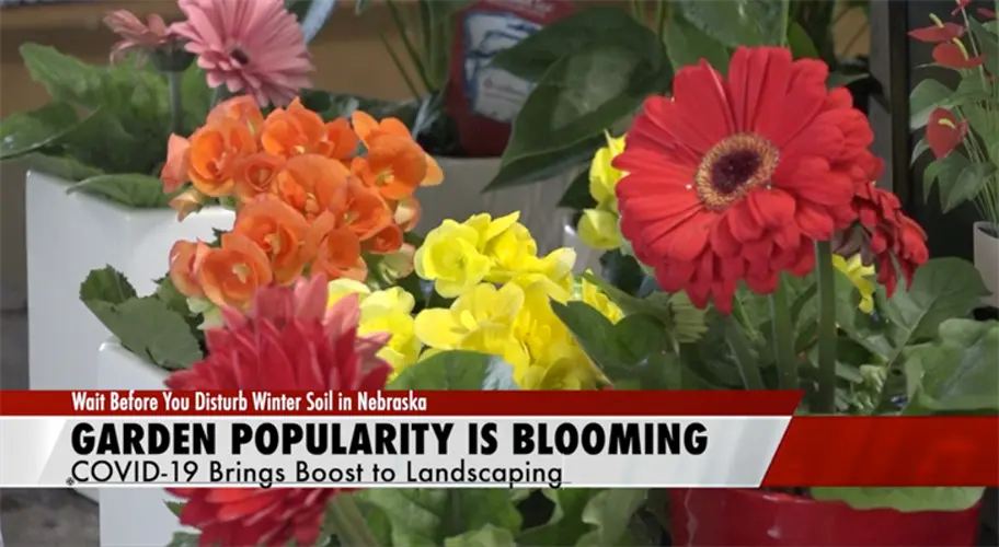 Gardening gains popularity; but patience advised