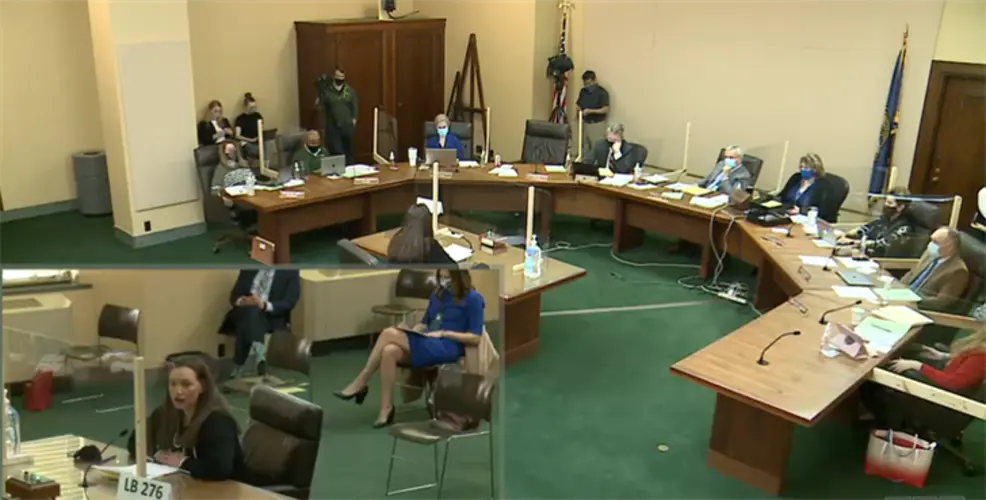 Testimony given on telemedicine abortion services bill