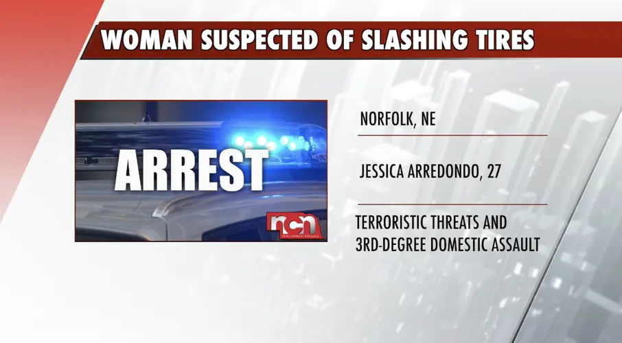 Norfolk woman arrested for alleged incidents with knife - Northeast NCN