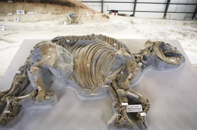 Ashfall Fossil Beds to open for 30th season in May