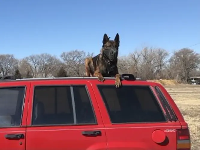 Pursuit, manhunt leads to arrest near Big Springs