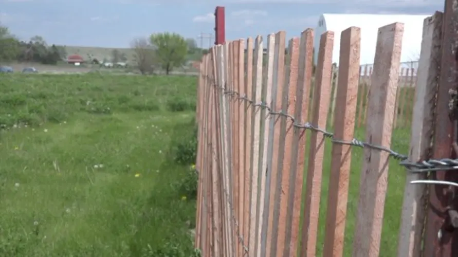 Neligh creates garden to combat food insecurity