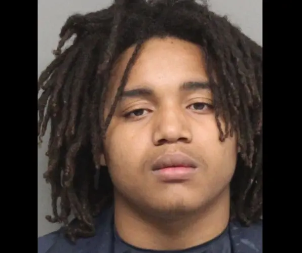 Passenger arrested after police find drugs, gun in car