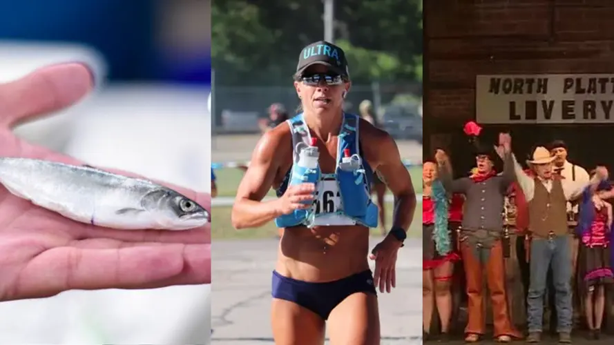 Tiny trackers, wild west shoot outs and more: All of Monday’s biggest stories from across the state