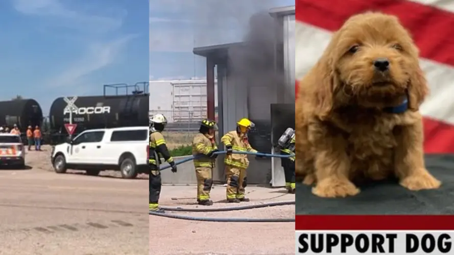 Fatal crashes, therapy dogs, and more: All of the biggest stories from across Nebraska