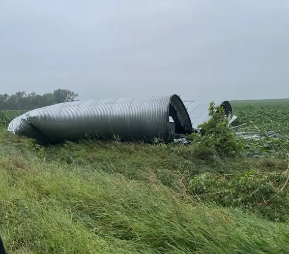 Power outages, fallen trees among the damage in overnight storm