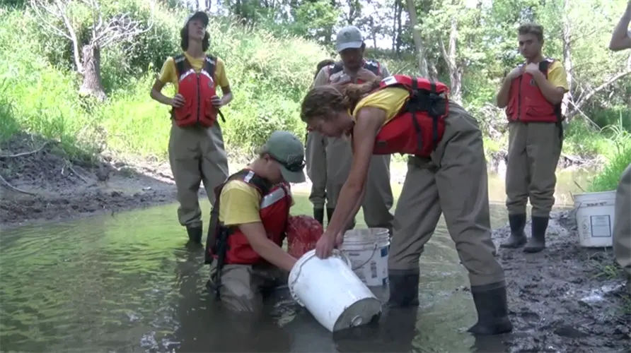 Game and Parks works to reintroduce mussels in Big Blue watershed