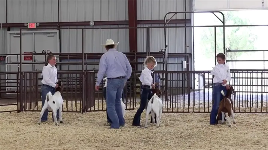 2021 Cheyenne County Fair results