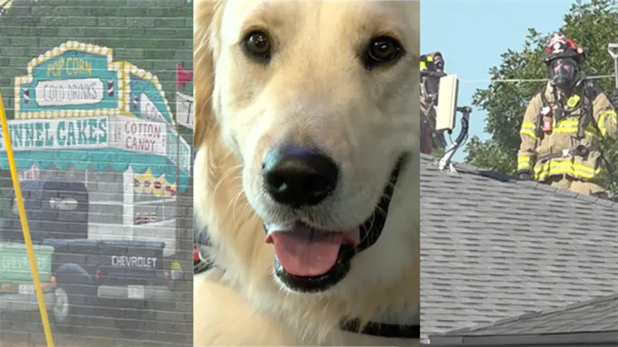 Wonder Dogs, house fires, and more: all of the biggest stories from across Nebraska