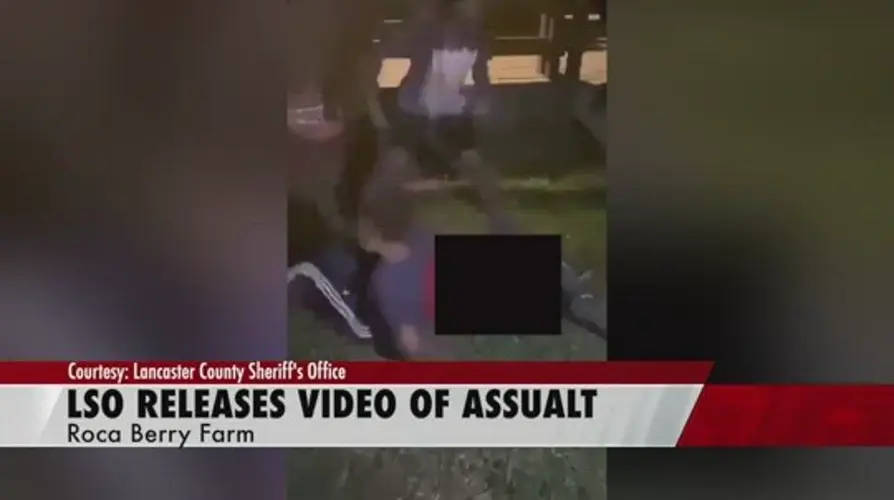 LSO releases video of assault at Roca Berry Farm