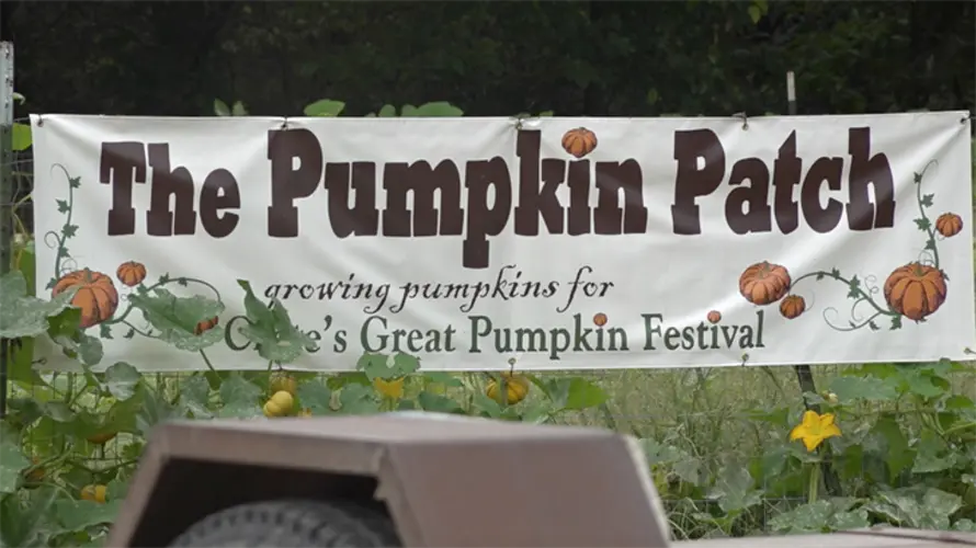 Crete preparing to host 7th annual Great Pumpkin Festival