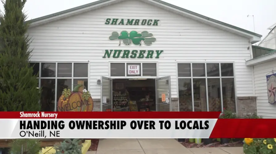 Shamrock Nursery handing ownership to locals