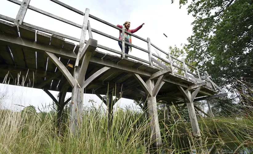 Pivotal bridge from Winnie the Pooh series to be auctioned