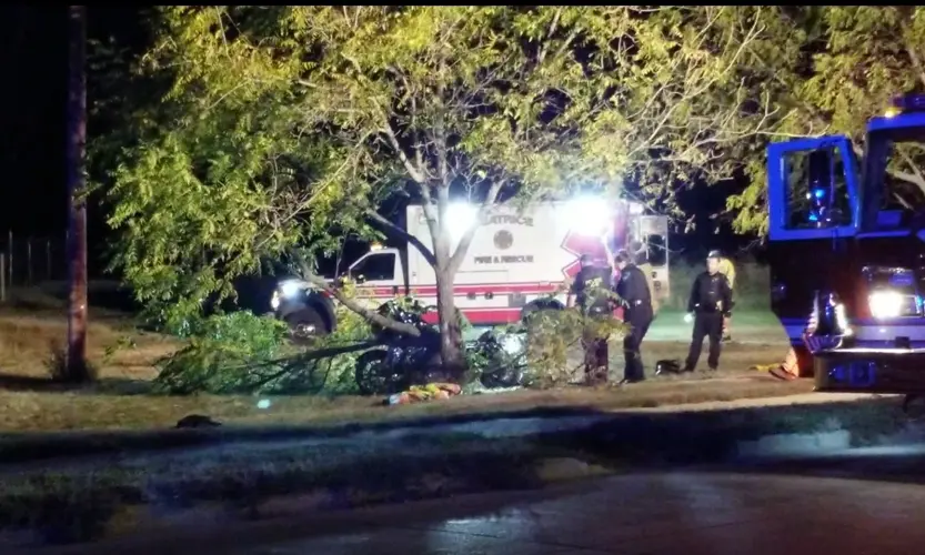 Motorcyclist airlifted to hospital, after colliding with tree