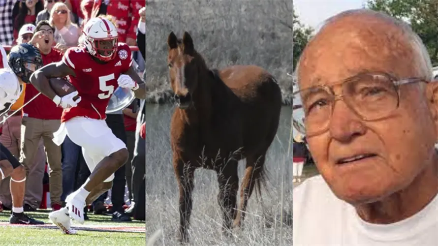 Horsehair thieves, driver shot and more: All of the biggest weekend stories