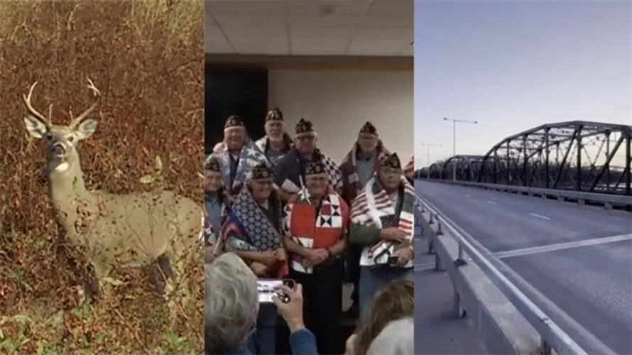 Quilts of Valor, deer firearm season opens, and more: All of the biggest stories from across Nebraska