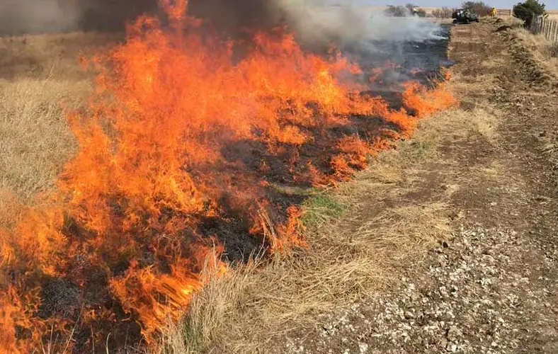 Prescribed Burn Planned at Homestead