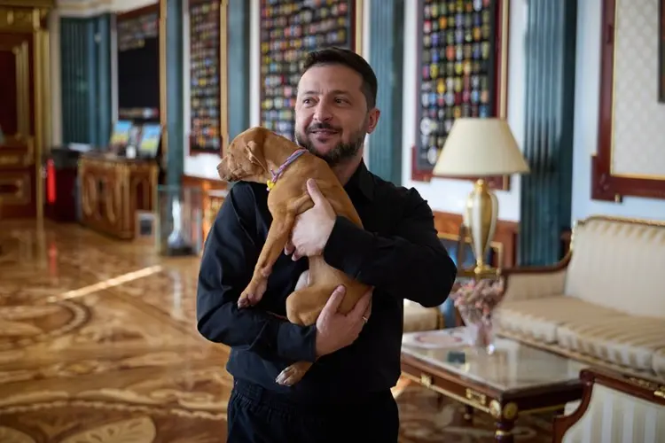 Ukraine's president coos over a puppy, starting a new volley in his war of visuals against Russia