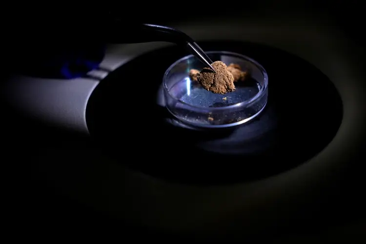 Brazil uses forensic science to trace gold's origin and tackle illegal mining in the Amazon