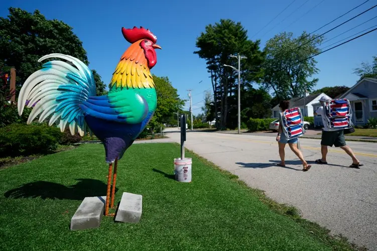 Giant metal roosters spread autism acceptance in Maine after town zoning spat