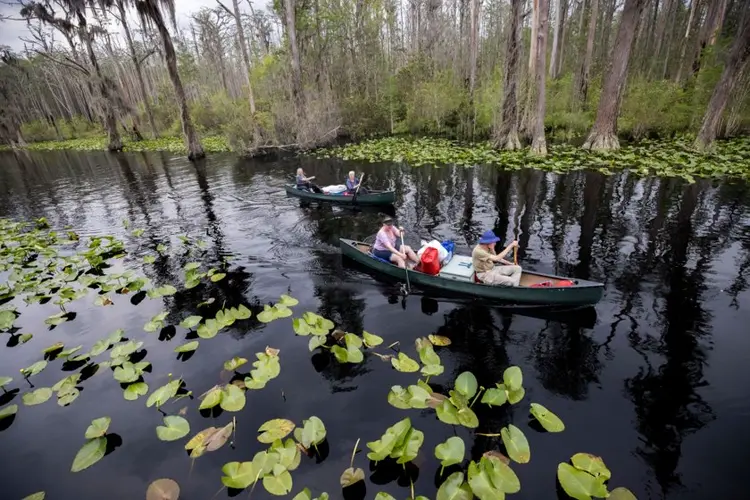 Georgia's Okefenokee Swamp among new additions to join UNESCO's World Heritage List