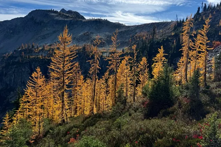 Agriculture secretary says agency is “full-bore ahead” on Forest Service reorganization