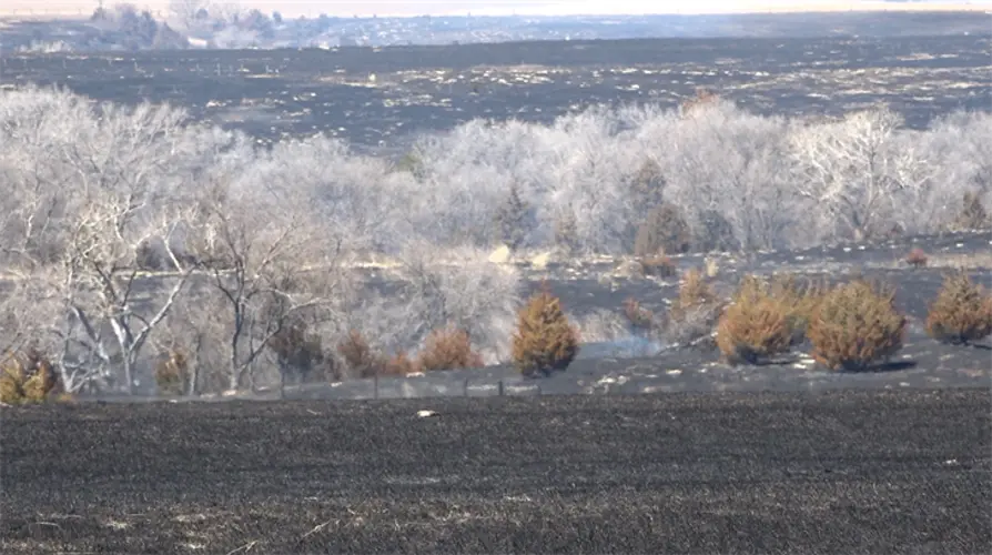 Gosper/Furnas county fire burns 30,000 acres, started when dead tree blew into power line