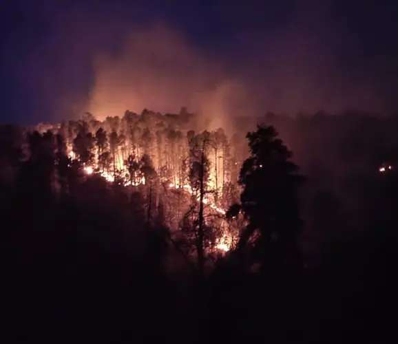 Around 100 acres burned in Halsey Fire, Wednesday an 'important' day