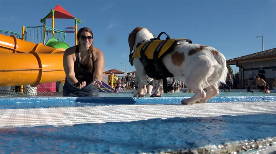 Doggie Paddle event marks end of season at Hastings Aquacourt