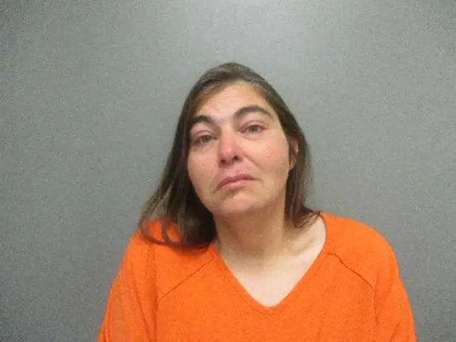 Elwood woman arrested for allegedly plotting to kill five people
