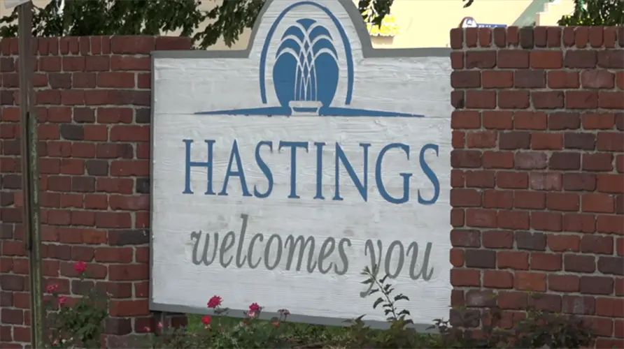 Hastings City Council reviews annual audit