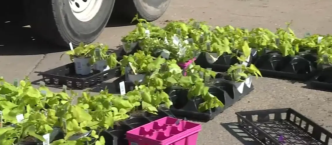 Hastings host community planting event