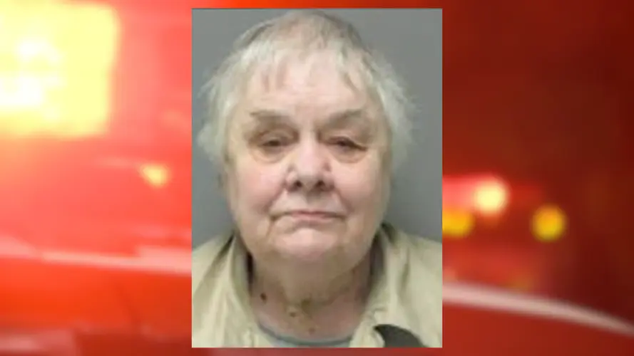 Elderly domestic abuse survivor who killed husband released on parole